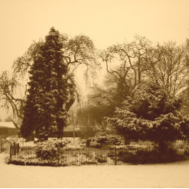sneeuwscène park landschap originele sepia foto papieren bordje
