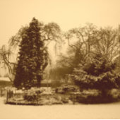 sneeuwscène park landschap originele sepia foto papieren bordje