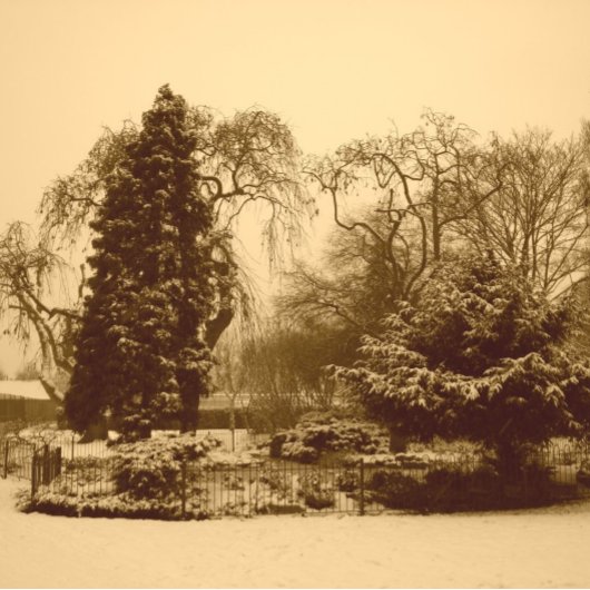 sneeuwscène park landschap originele sepia foto papieren bordje