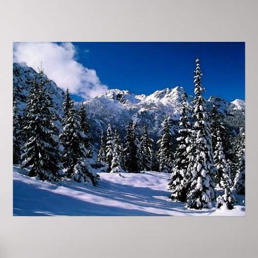 Sneeuwscène Winter Mountains Print (Voorkant)