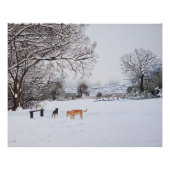 sneeuwscène winterlandschap met bomen en honden poster (Voorkant)