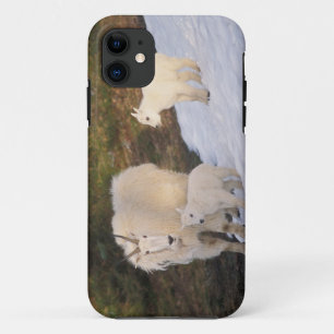 sneeuwschaap iPhone 11 hoesje