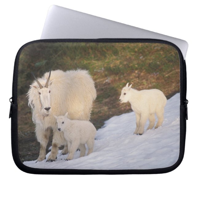 sneeuwschaap laptop sleeve (Voorkant)