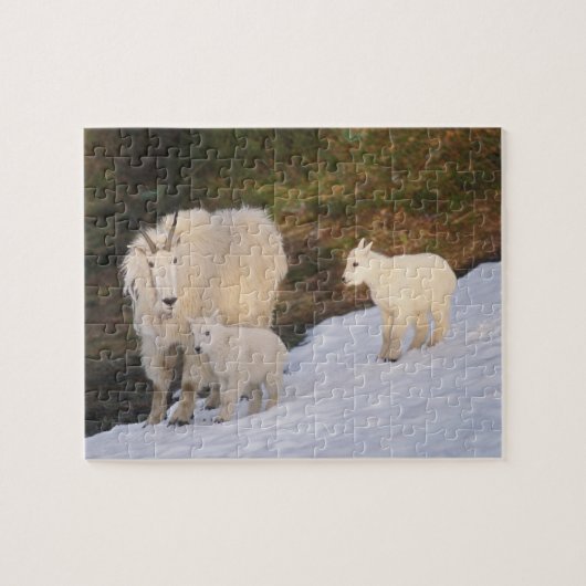 sneeuwschaap legpuzzel (Horizontaal)