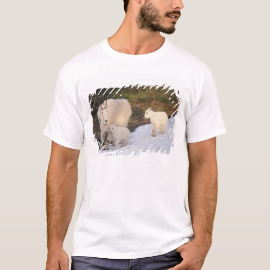 sneeuwschaap t-shirt (Voorkant)
