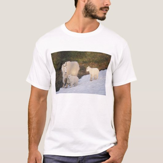 sneeuwschaap t-shirt (Voorkant)