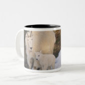 sneeuwschaap tweekleurige koffiemok (Voorkant links)