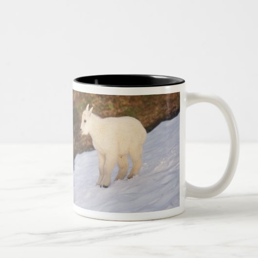 sneeuwschaap tweekleurige koffiemok (Rechts)
