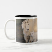 sneeuwschaap tweekleurige koffiemok (Links)