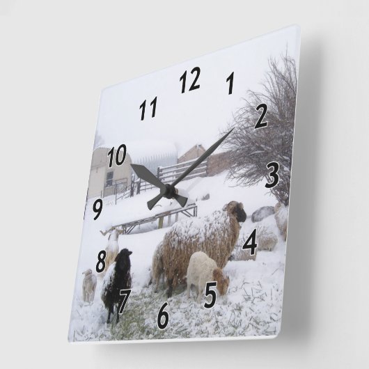 sneeuwschaap vierkante klok (Hoek)