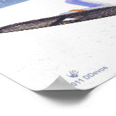 Sneeuwschoehaas Poster (Hoek)