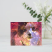 sneeuwschoen aurora borealis kat briefkaart (Staand voorkant)