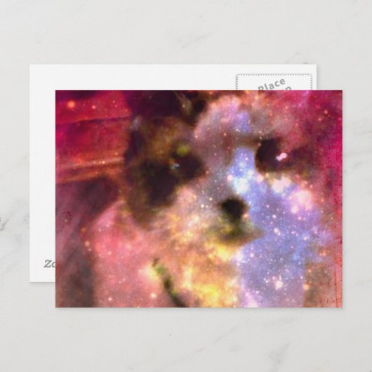 sneeuwschoen aurora borealis kat briefkaart (Voorkant / Achterkant)