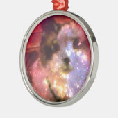 sneeuwschoen aurora borealis kat metalen ornament (Links)