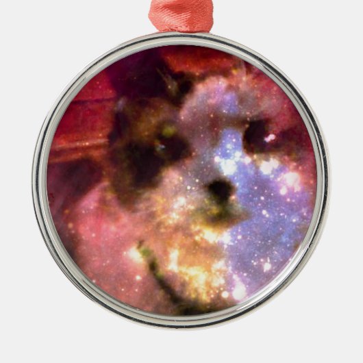 sneeuwschoen aurora borealis kat metalen ornament (Voorkant)