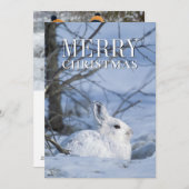 Sneeuwschoen Haas Rust in Sneeuw Feestdagenkaart (Voorkant / Achterkant)