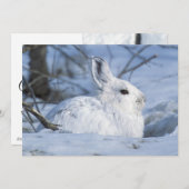 Sneeuwschoen Haas Rust in Sneeuw Feestdagenkaart (Voorkant / Achterkant)