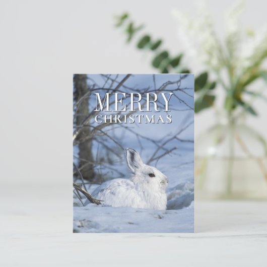 Sneeuwschoen Haas Rust in Sneeuw Feestdagenkaart (Staand voorkant)