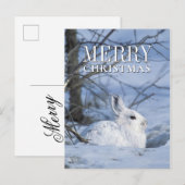 Sneeuwschoen Haas Rust in Sneeuw Feestdagenkaart (Voorkant / Achterkant)