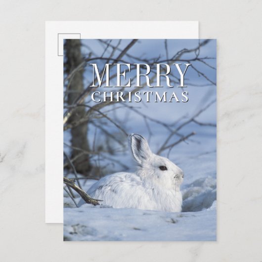 Sneeuwschoen Haas Rust in Sneeuw Feestdagenkaart (Voorkant / Achterkant)