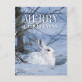 Sneeuwschoen Haas Rust in Sneeuw Feestdagenkaart (Voorkant)