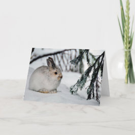 Sneeuwschoen Hare Winter Sneeuw Natuur Scene Kaart
