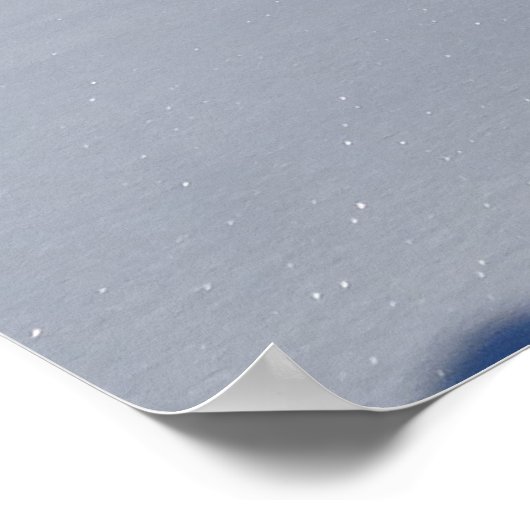 Sneeuwschoen in het nationale park van Yellowstone Poster (Hoek)