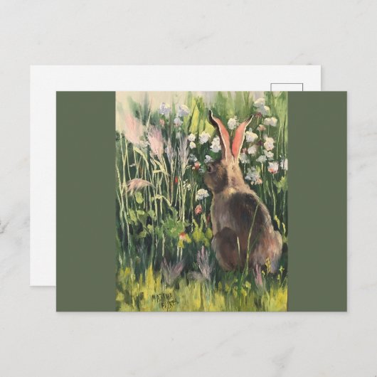 Sneeuwschoenhaas in het voorjaar briefkaart (Voorkant / Achterkant)