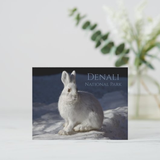 Sneeuwschoenhaas Rust in Sneeuw, Denali NP, Alaska Briefkaart (Staand voorkant)