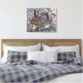 Sneeuwschoenhazen Foto Canvas Afdruk (Insitu (Slaapkamer))