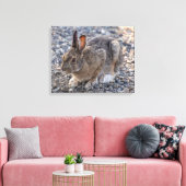 Sneeuwschoenhazen Foto Canvas Afdruk (Insitu (Woonkamer))