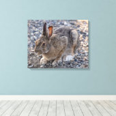 Sneeuwschoenhazen Foto Canvas Afdruk (Insitu (Houten vloer))
