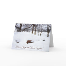 Sneeuwse Humor Kerstmis Vintage Car Covered Snowst