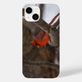 Sneeuwse Storm kardinale iPhone draagtas Case-Mate iPhone Case (Achterkant)