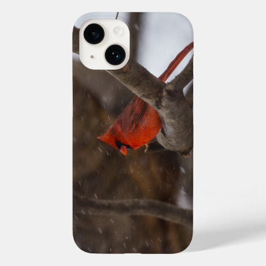 Sneeuwse Storm kardinale iPhone draagtas Case-Mate iPhone Case (Achterkant)