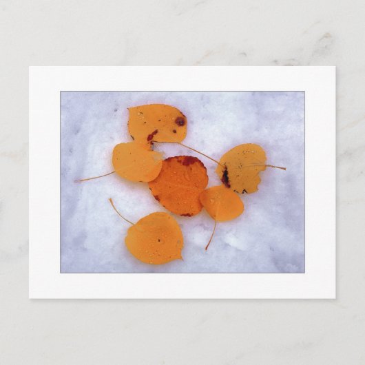 "Sneeuwspens" Briefkaart (Voorkant)