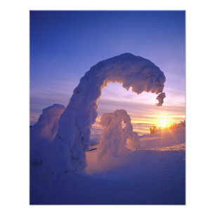 Sneeuwspoken in het Whitefish-gebergte in Montana Foto Afdruk