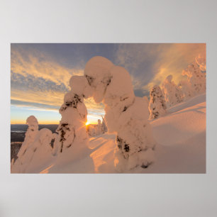 Sneeuwspoken in het witvisgebied poster