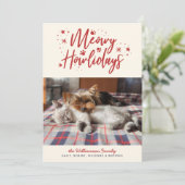 Sneeuwsterren Meowy Vakanties Huisdier Foto Kerstm Feestdagenkaart (Staand voorkant)