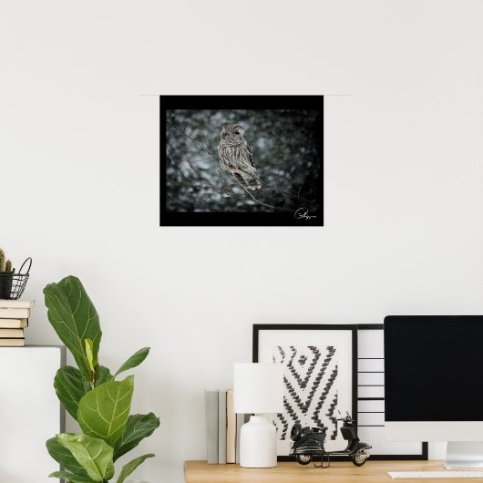 SneeuwStorm Barred Owl Poster (Thuiskantoor)