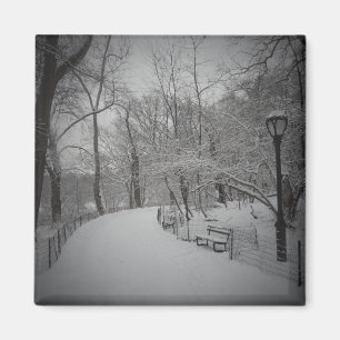 Sneeuwstorm, Central Park, New York City Magneet
