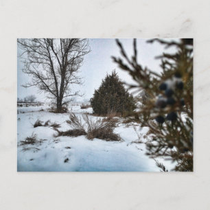 Sneeuwstorm in North Dakota in de winter Briefkaart