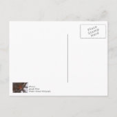 SneeuwStorm Kardinaal Dank u Briefkaart (Achterkant)