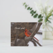 SneeuwStorm Kardinaal Dank u Briefkaart (Staand voorkant)
