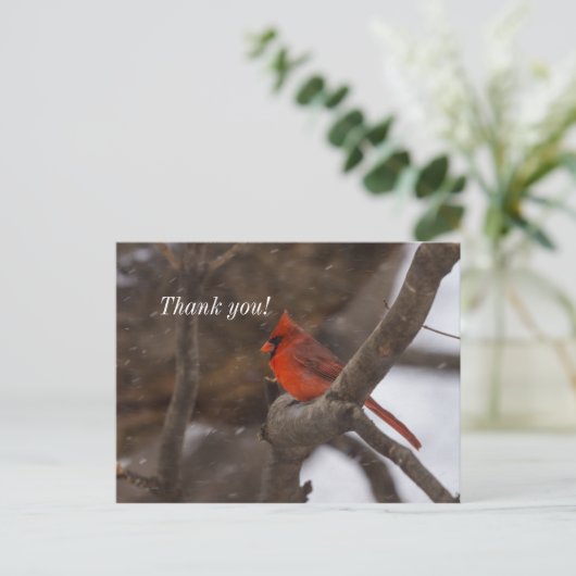 SneeuwStorm Kardinaal Dank u Briefkaart (Staand voorkant)