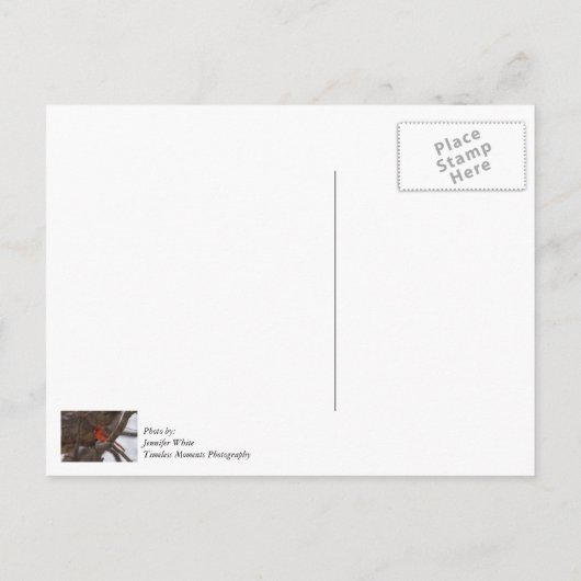 Sneeuwstorm Kardinaal Dank U Kaartje Briefkaart (Achterkant)