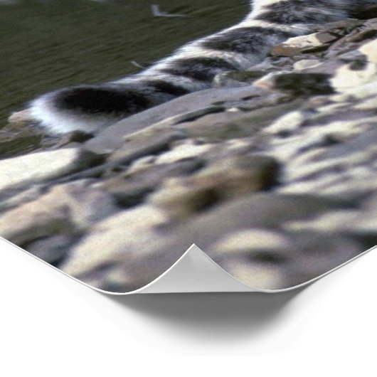 Sneeuwstrook langs de rivier poster (Hoek)