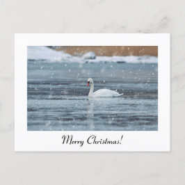 Sneeuwswan-briefkaart met prettige kerstdagen briefkaart
