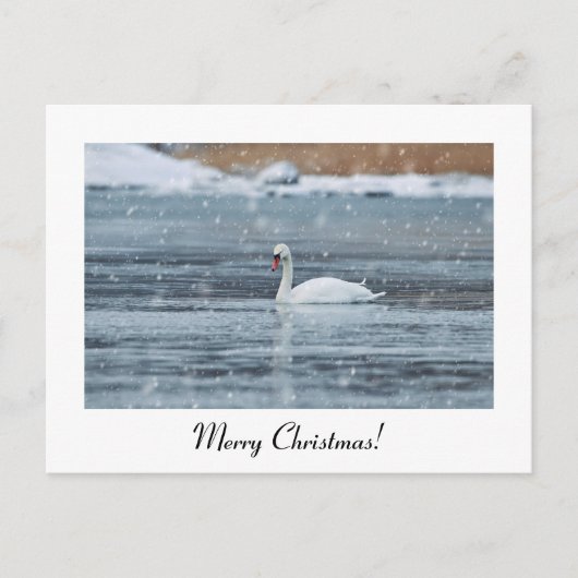 Sneeuwswan-briefkaart met prettige kerstdagen briefkaart (Voorkant)