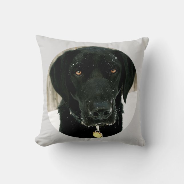 Sneeuwt hoe u Nice Black Lab Pillow kunt afspelen Kussen (Voorkant)